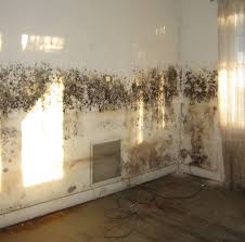 And even though you spend roughly a third of your life there, the bedroom likely lingers low on. Removing Mould From Walls How To Clean Mould