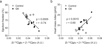 He received an undergraduate degree from ucsi. A New Hyperpolarized 13 C Ketone Body Probe Reveals An Increase In Acetoacetate Utilization In The Diabetic Rat Heart Scientific Reports