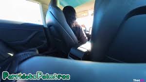 Perridotspalmtree Uber Sheer