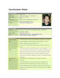 Download this free word resume, personalize it, export it in word or pdf, then print it. Curriculum Vitae Download Doc Ulker