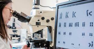 Only a few have survived such radical medical attacks on their bodies, but are left with huge medical debts impossible to pay in any. Are We Any Closer To Curing Cancer Fox Chase Cancer Center Philadelphia Pa