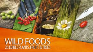 Edible food packaging is a type of packaging that is designed to be eaten or has the ability to there are many different types of edible food packaging as different companies have tried specific. 25 Edible Plants Fruits And Trees For Wilderness Survival Youtube
