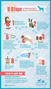 8 Steps To Walking Your Dog In Winter Dog Care Puppy Training Puppy Training Tips