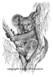 Black And White Australian Animal Prints Pin On Art