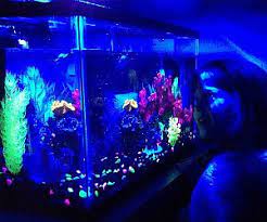 Transform your garden or backyard into a magical fairyland; Glow In The Dark Aquarium