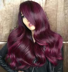 F238ddbe66a0ff0a2cf98d71b2b577fc Jpg 736 780 Plum Hair Magenta Hair Hair Color Plum