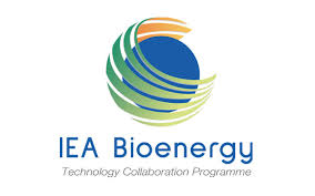 It enables collaborative r&d projects among its 26 member countries. Fnr International Iea Bioenergy
