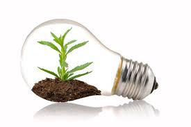 We did not find results for: Use A More Eco Friendly Light Bulb Spring Power Gas