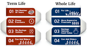Maybe you would like to learn more about one of these? Life Insurance For Widows Crucial Tips Providers 2020 Rates Quickquote