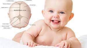 Dellen Und Beulen Am Kopf Von Babys Wie Funktioniert Com