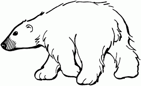 Free printable polar bear coloring pages for kids via bestcoloringpagesforkids.com. Polar Bear Outline Coloring Home