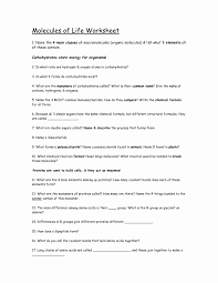 (1) only one double bond (3) one triple bond. Organic Molecules Worksheet Answer Key Inspirational 15 Best Of Biological Molecules Worksheet Org Organic Molecules Macromolecules Scientific Method Worksheet