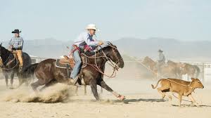 Rodeo (made popular by lil nas x and cardi b) vocal version — party tyme karaoke. Rodeo Facts The Case Against Rodeos