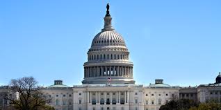 A rioter holds a trump flag inside the us capitol after storming the building. Coronavirus Congress Shutting Down Us Capitol All Offices To Public Business Insider