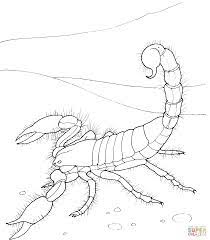 It may have been one of the first vertebrate animals to walk on land. Scorpions Coloring Pages Coloring Home