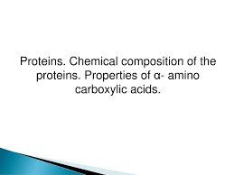 Here we show that nerve terminal proteins contain another abundant. Proteins Chemical Composition Of The Proteins Ppt Download