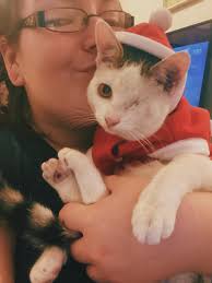 Merry Christmas from Czech republic 🌲❄️🌲