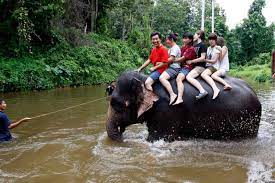 .elephant sanctuary (national elephant conservation centre) in kuala lumpur, interesting facts about tourist attractions activity highlights;1. Kuala Gandah Elephant Conservation Centre Pahang Malaysia Gokayu Your Travel Guide