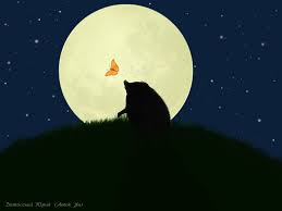 Moon Hedgehog And Butterfly By Amok Yu Moon Hedgehog Animal Magic