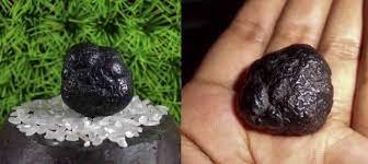 We did not find results for: Batu Petir Nggak Cuma Horor Bisa Juga Buat Kesehatan Paragram Id