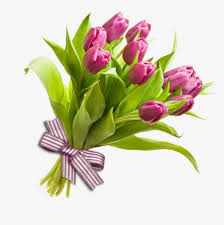 Flowers Flowers Free Matting Flowers Bouquet Flower Images Bunch Of Flowers