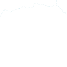 Image result for Rytigynia acuminatissima