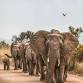 Follow your Light in Kenya: Yoga & Safari
