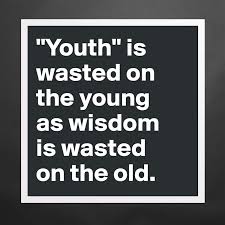 Youth Is Wasted On The Young As Wisdom Is Wasted Museum Quality Poster 16x16in By Lieutenant Boldomatic Shop