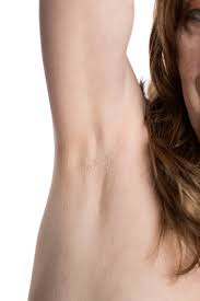 Meaning of axillary hair medical term. Axilla Wikipedia