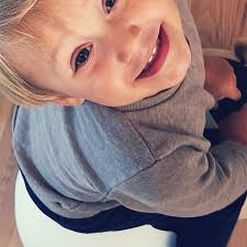 Wheely Bug Ko anmeldelse