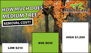 According to treeremoval.com , the average cost to remove a tree is $643. Dnevnik Millinelaa Liveinternet Rossijskij Servis Onlajn Dnevnikov