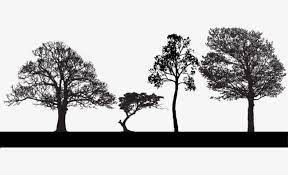 We did not find results for: Trees Silhouette Png Clipart Black Lines Material Silhouette Clipart Trees Free Png Download