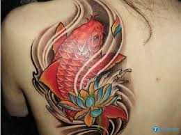 Hình xăm chữ không phải là một thứ vô tri vô giác. Hinh XÄƒm Ca Chep Ä'áº¹p Nháº¥t 3d XÄƒm Tren Ngá»±c Tay Chan LÆ°ng
