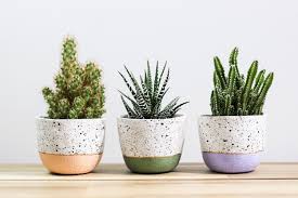 Mini Speckled Plant Pot Indoor Plant Pot Small Succulent Planter Plant Lover Gift Handmade Cactus Planter Housewarming Gift Indoor Plant Pots Small Succulents Potted Plants
