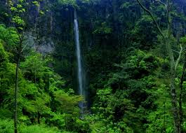 Hingga puluhan penyusur rela menerebos ruang tanpa cahaya dan bermandikan lumpur. Rupanya Air Terjun Di Jawa Tengah Cantik Ya Ditulis Oleh Mia Kamila Facebook Twitter Email Inimah Cocoknya Sama Pacar Sumber Jawa Tengah Punya Potensi Wisata Yang Luar Biasa Banyak Banget Tempat Menarik Yang Bisa Kamu Kunjungi Saat Liburan