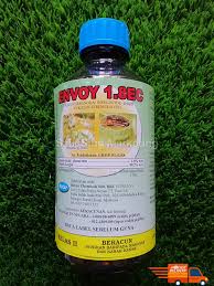 Jenis jenis dadah contoh dan kesannya; 100g Creek 1 0g Temephos 1 Flick Chemical Ubat Jejentik Jentik Jentik Lazada