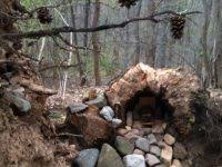 Or the south mountain fairy trail, as it's known to some. Fairy Trail South Mountain Conservancy