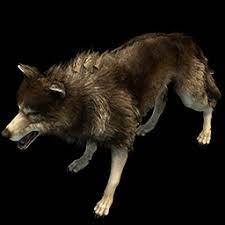 So don't say that kangals can kill a grey wolf because they can kill a 30kg wolf. Wolf Age Of Empires Series Wiki Fandom