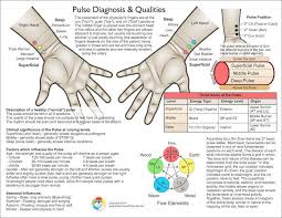 Pulse Diagnosis Chart 2nd Ed Clinical Charts And Supplies