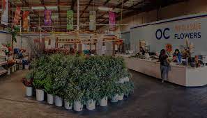 Maybe you would like to learn more about one of these? Oc Wholesale Flowers Faq S