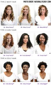 Curly Hair Types1 Png 650 1080 Curly Hair Styles Hair Type Chart Curly Hair Styles Naturally