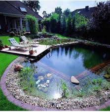 Pin By Ismel Hervaz On Garden In 2020 Natural Swimming Pools Swimming Pools Backyard Backyard