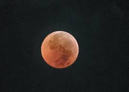 Search for text in url. Eb7tjdfs7bir8m