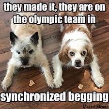Great work dog meme, dogs at work meme, stressed dog meme, hipster dog meme, teamwork dog meme, puppy work meme, funny dog at work, animals at work funny memes, good images tagged good job dog. Good Job 9gag