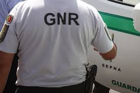 Três animais mortos e um subnutrido retirados de um canil de Vinhais