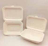Caja de almuerzo desechable en forma de concha de bagazo de caña de azúcar  8 pulgadas
