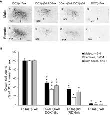 Tous les décès depuis 1970, évolution de l'espérance de vie en france, par département, commune, prénom et nom de famille ! Partial Ablation Of The Orexin Field Induces A Subnarcoleptic Phenotype In A Conditional Mouse Model Of Orexin Neurodegeneration Biorxiv