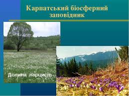 Природоохоронні території України - презентація з географії