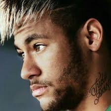 Alejandro Rocco Sanchez Fonseca (alejandroroccos)