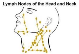 Inflamed lymph nodes themselves are generally not a major concern, but if you have symptoms of another condition along with enlarged lymph nodes children tend to have a more active lymphatic system, so their nodes may feel enlarged. Neck Dissection American Head Neck Society